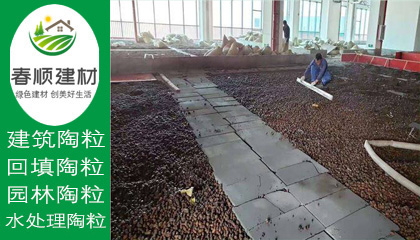 江西濾料廠家供應(yīng)水處理沉水生物陶粒 輕質(zhì)粘土陶?！?></a></div>
                    <div   id=